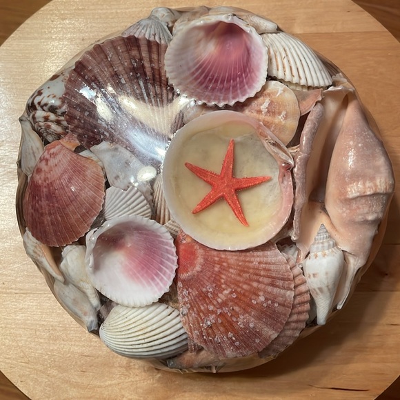 Shell Home Decor - Picture 4 of 9